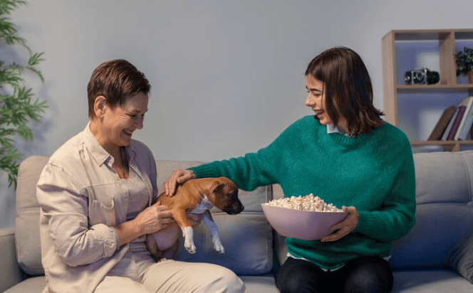 Why the Bond Between Pet and Owner Is Now Being Studied as a Primary Wellbeing Indicator by Leading Psychologists